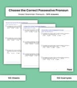 Pronouns: Choose the Correct Possessive Pronoun