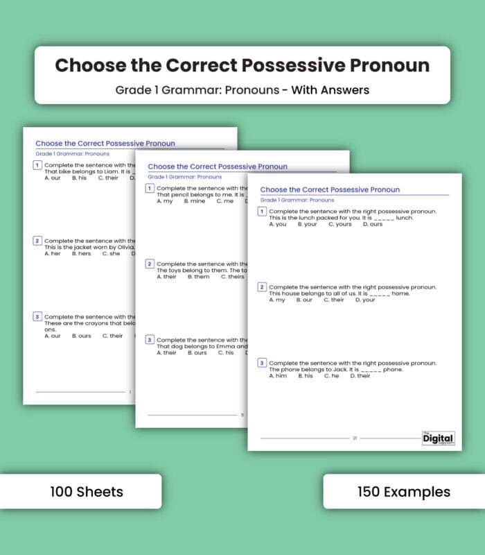 Pronouns: Choose the Correct Possessive Pronoun - Image 1
