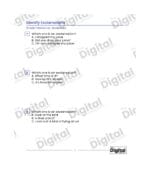Sentence: Identify Exclamations - Image 2