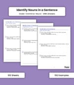 Nouns: Identify Nouns in a Sentence
