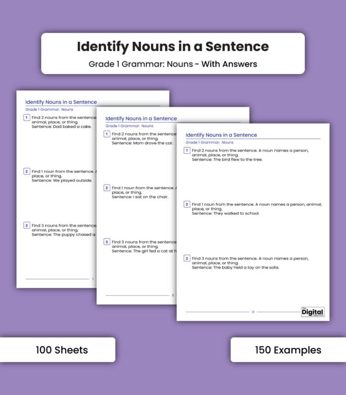 Nouns: Identify Nouns in a Sentence - Image 1