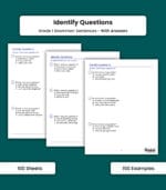 Sentence: Identify Questions