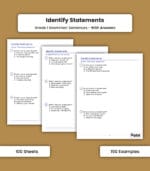 Sentence: Identify Statements
