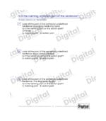 Sentence: Is It the Naming or Action Part of the Sentence - Image 2