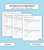 Nouns: Sort Common and Proper Nouns