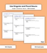 Nouns: Use Singular and Plural Nouns