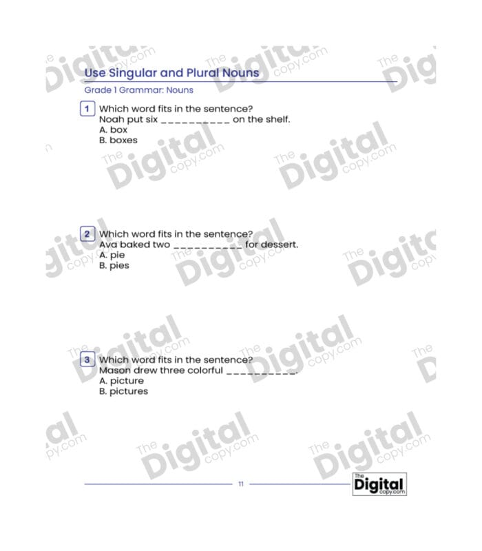 Nouns: Use Singular and Plural Nouns - Image 3