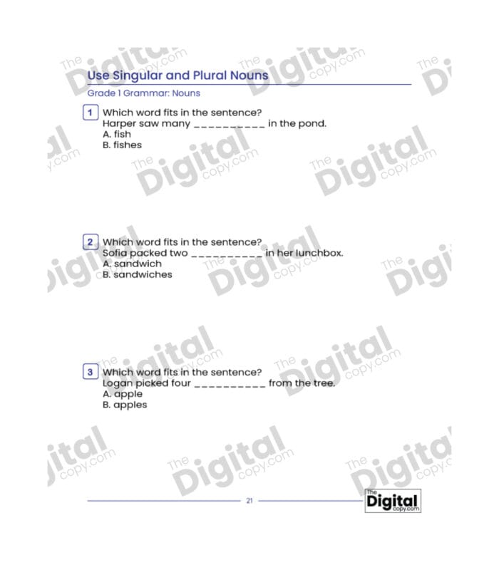Nouns: Use Singular and Plural Nouns - Image 4