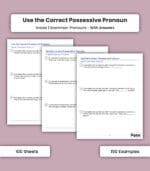 Pronouns: Use the Correct Possessive Pronoun