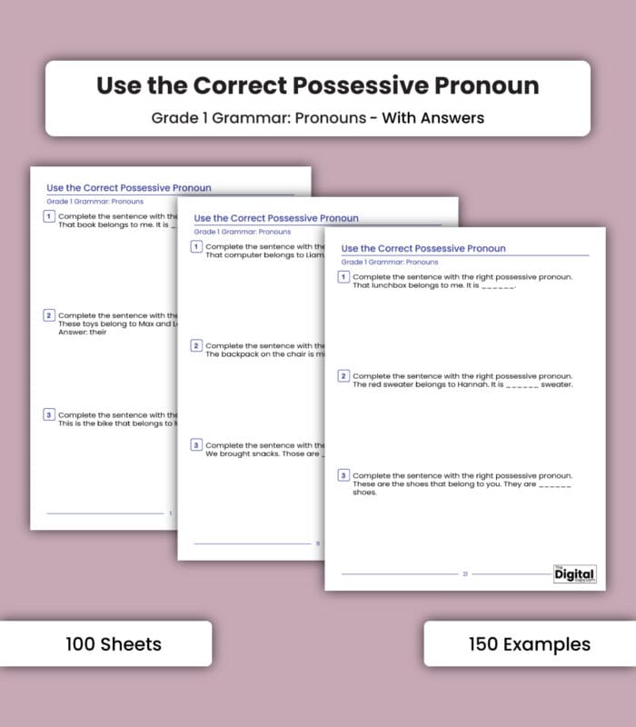 Pronouns: Use the Correct Possessive Pronoun - Image 1