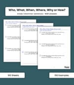 Sentence: Who, What, When, Where, or Why